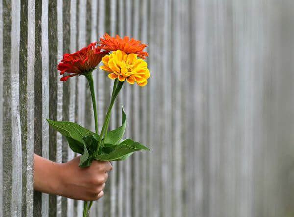 Wat is de datum van Valentijnsdag dit jaar?