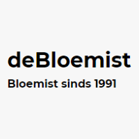 De Bloemist Hendrik Ido Ambacht